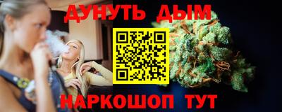 молекула духа Кингисепп