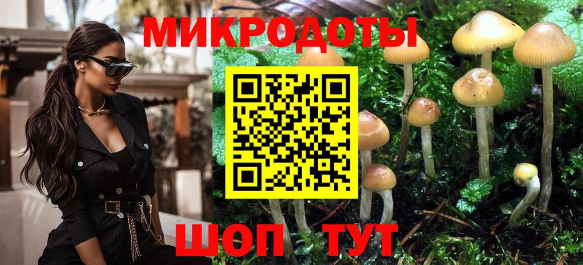 Псилоцибиновые грибы GOLDEN TEACHER Чистополь
