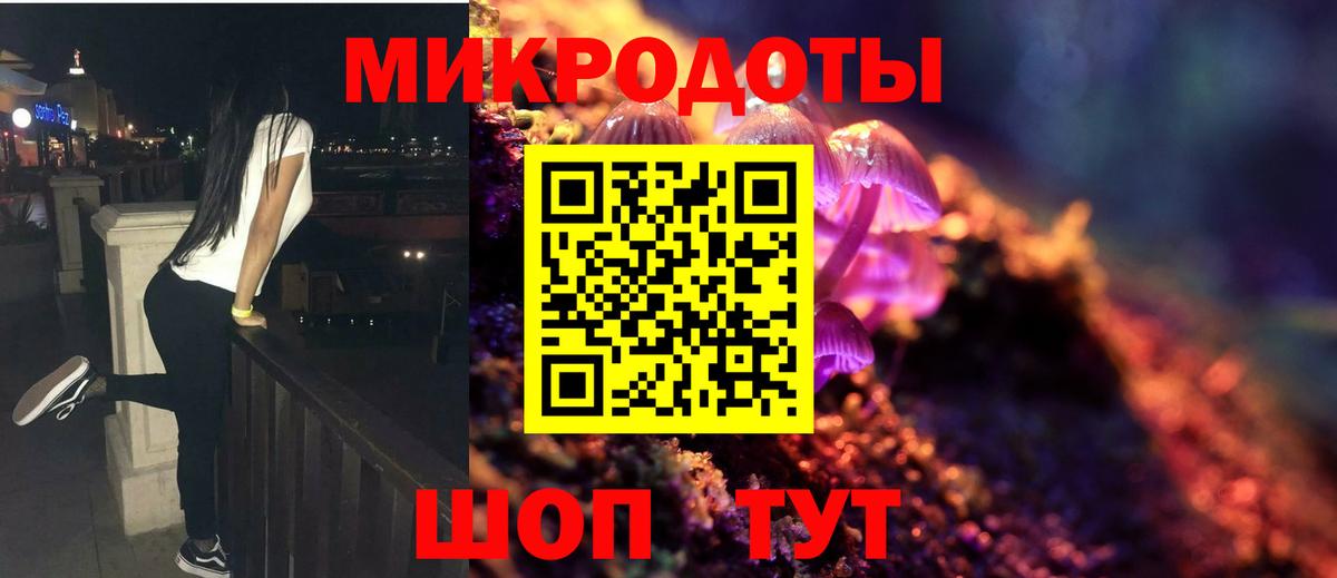Чистополь  как найти   Вход с VPN  Галлюциногенные грибы мухоморы 